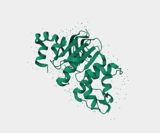 Anti-MRP1 mAbs