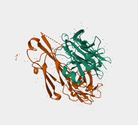Anti-MUC1-C/ECD mAbs