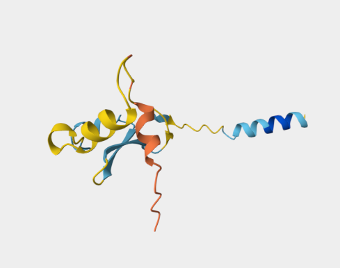 Anti-MSP2 mAbs