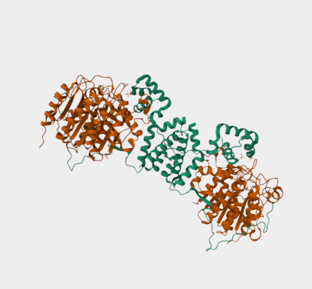 Anti-MTA1 mAbs