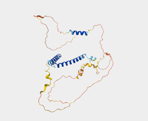 Anti-MYOD1 mAbs