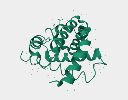 Anti-Myoglobin mAbs