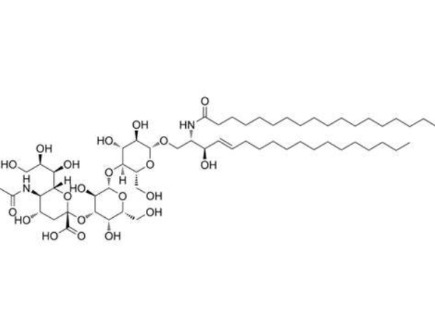 Anti-N-glycolyl GM3 mAbs