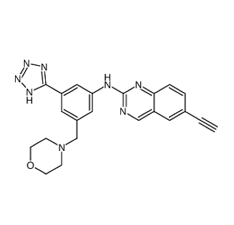 Anti-N6-methyladenosine mAbs