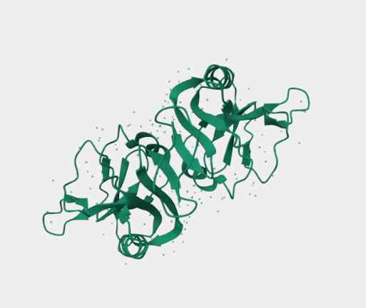 Anti-NKG2D mAbs