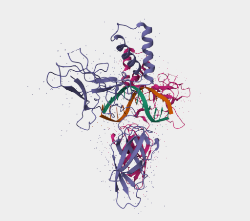 Anti-NFKB2 mAbs