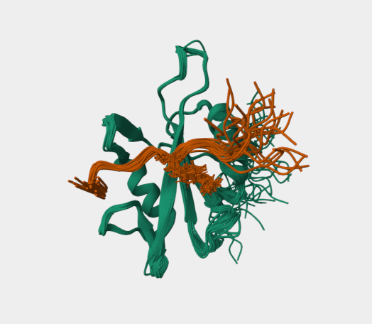 Anti-NKG2A mAbs
