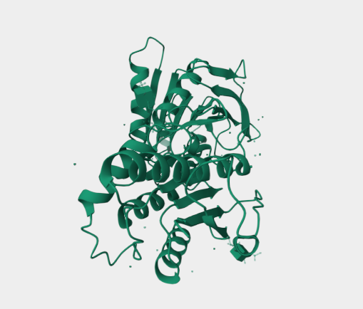 Anti-NMDA Receptor mAbs