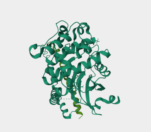 Anti-NORE1A mAbs