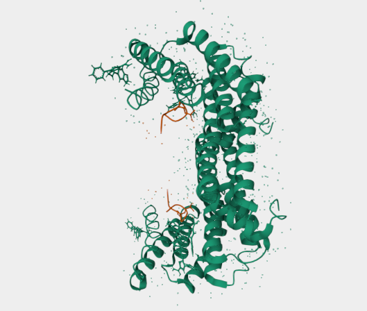 Anti-Notch 4 mAbs