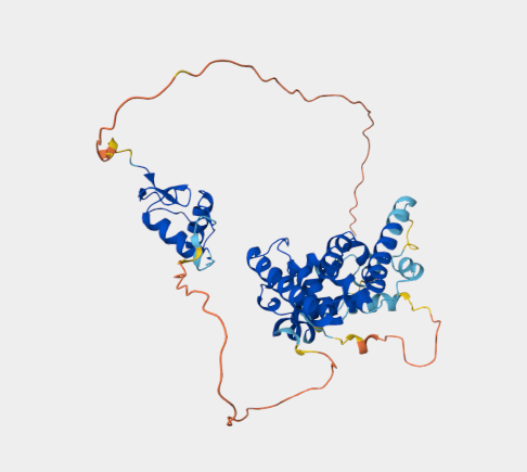 Anti-NR2F6 mAbs