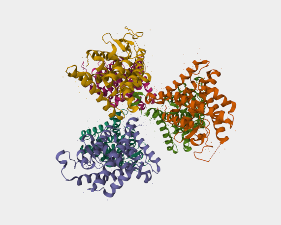 Anti-NR4A2 mAbs