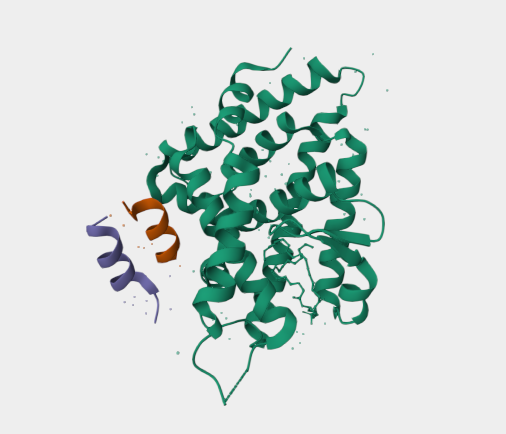 Anti-NR5A2 mAbs