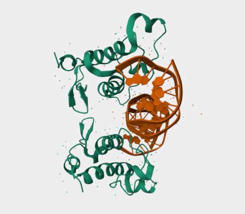 Anti-Nuclear Respiratory Facto