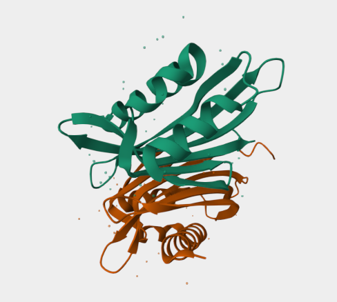 Anti-Nuclear Transport Factor 