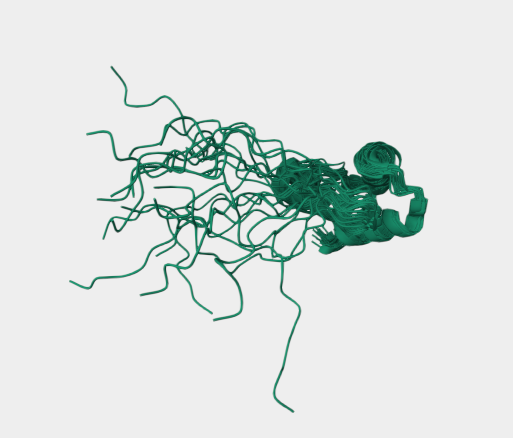 Anti-Nucleophosmin mAbs