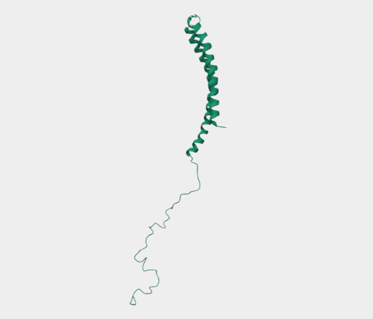Anti-Oligomeric α-syn mAbs