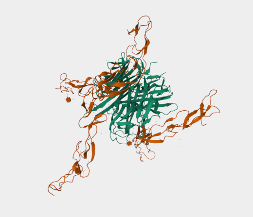 Anti-OPGbp mAbs