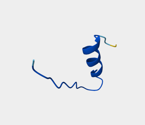 Anti-p21 protein mAbs