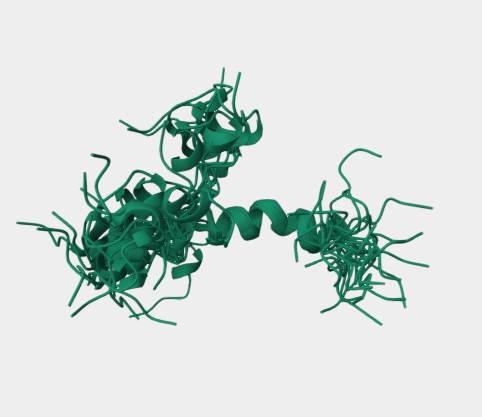 Anti-Parathyroid Hormone-relat