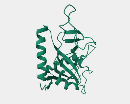 Anti-PARP14 mAbs