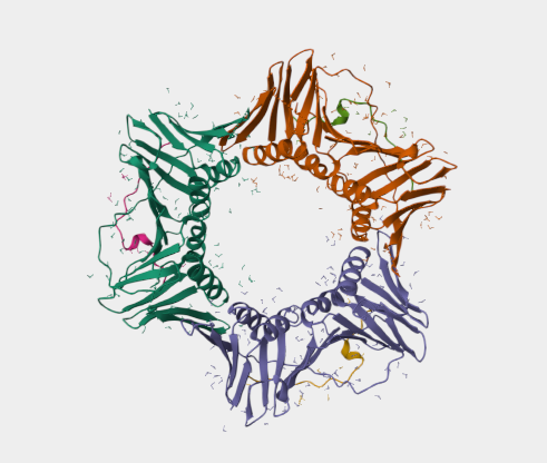Anti-PCNA mAbs