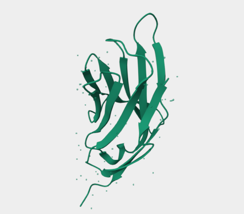 Anti-PD-1 mAbs