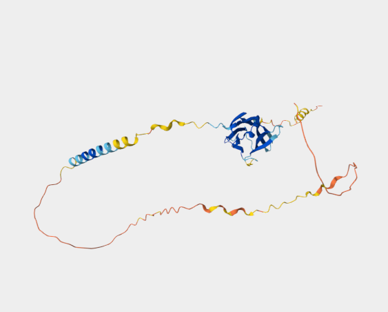 Anti-PD-1 mAbs