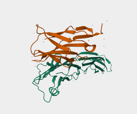 Anti-PD-L1 mAbs