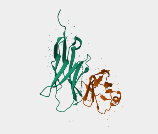 Anti-PD-L2 mAbs