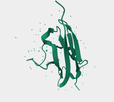 Anti-PD-L2 mAbs