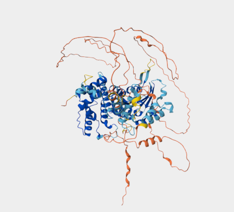 Anti-PGBD1 mAbs