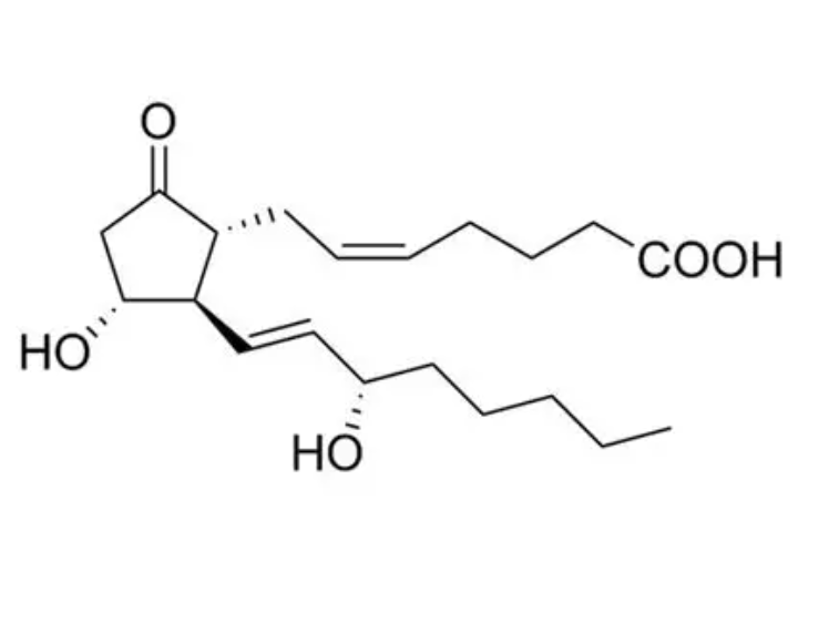 Anti-PGE2 mAbs