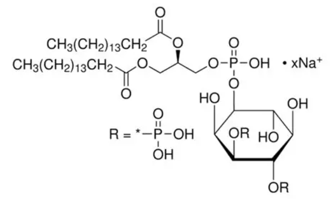 Anti-Phosphatidylinositol-3,4-