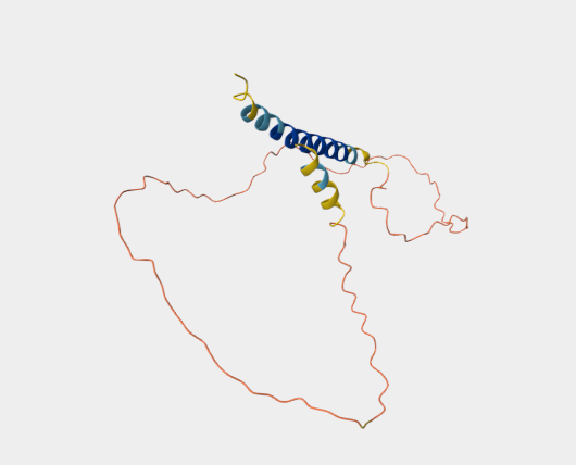 Anti-Podoplanin mAbs