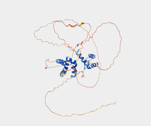 Anti-POU2F3 mAbs