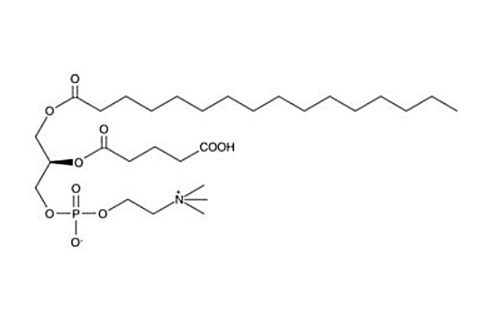 Anti-POVPC/PGPC mAbs