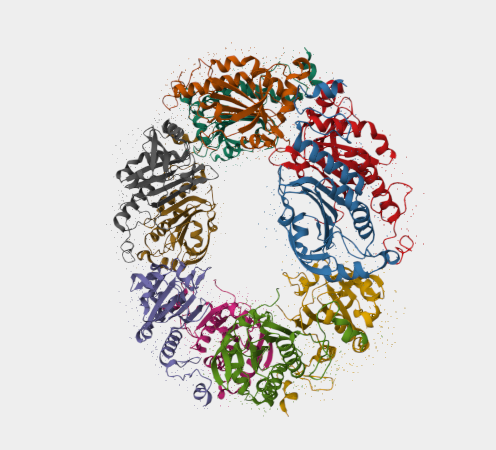 Anti-PRDX4 mAbs