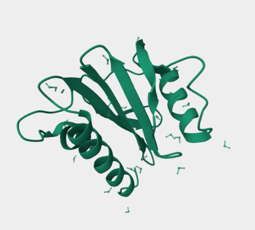 Anti-Profilin-1 mAbs