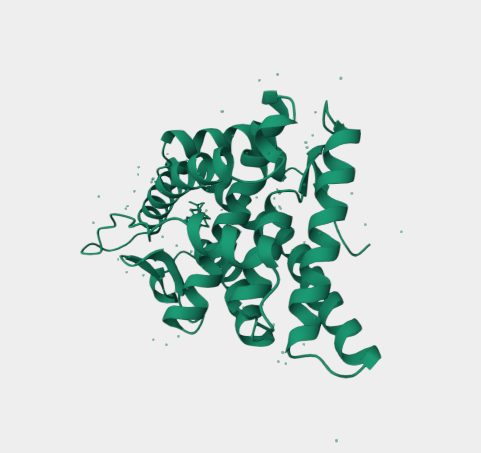 Anti-Progesterone Receptor mAb
