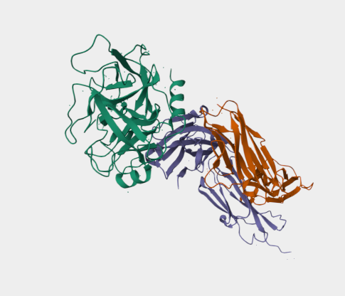 Anti-Prostate specific antigen