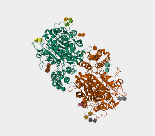 Anti-PSMA mAbs