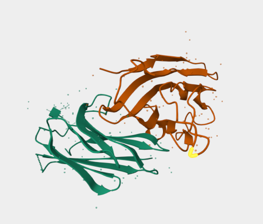 Anti-PVRIG mAbs