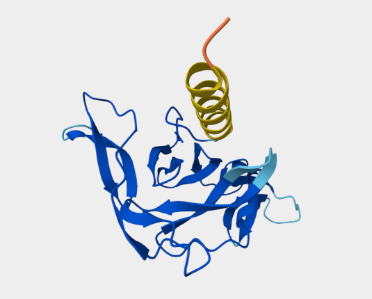 Anti-Pvs25 Surface Protein mAb