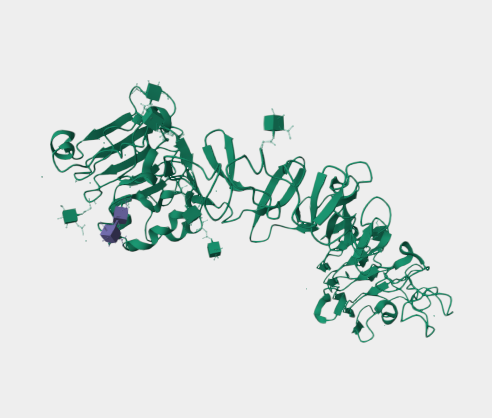 Anti-Receptor tyrosine-protein