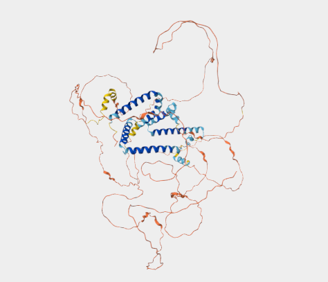 Anti-Reticulon-1A/B mAbs