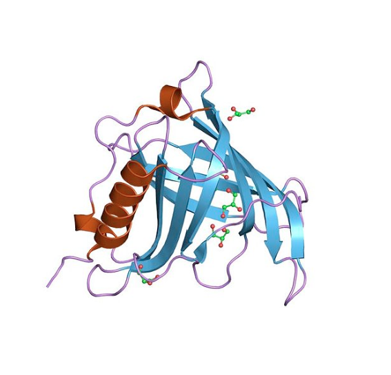 Anti-Retinol binding protein m