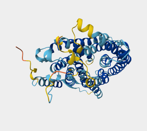 Anti-Rhesus D antigen   mAbs