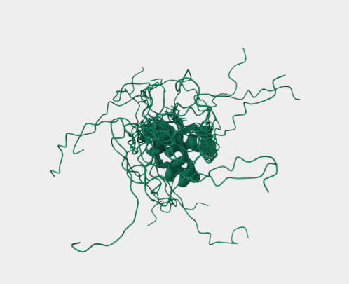 Anti-Rad51D mAbs