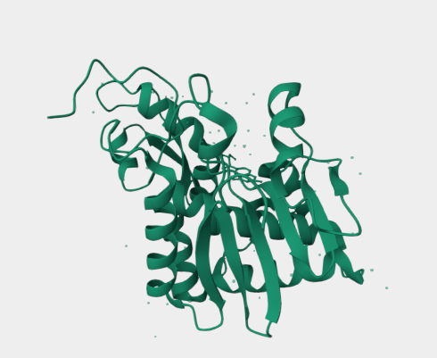 Anti-Ricin mAbs